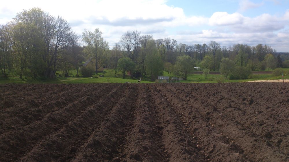 Peenarde valmistamine