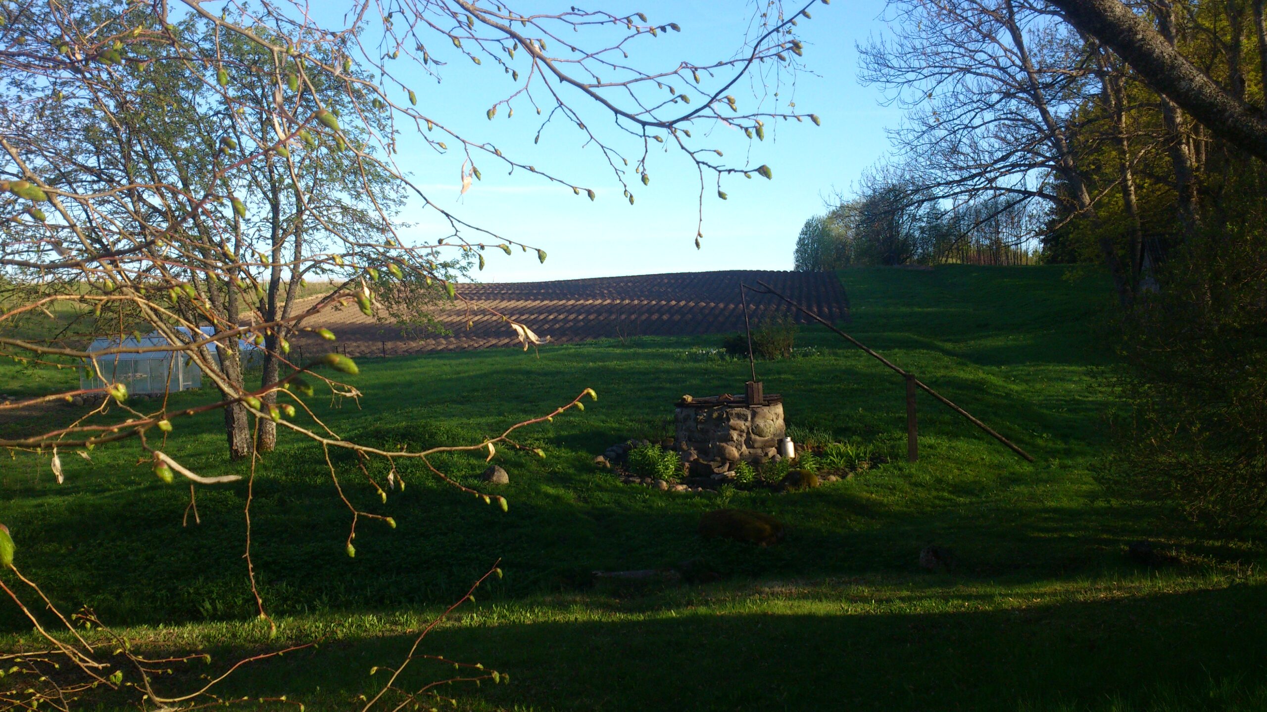 Kartuli mahapanek 2016