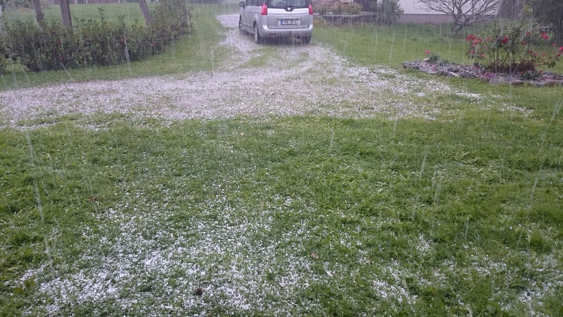 Palju õnne meile! Kartuli võtmine tehtud!!!